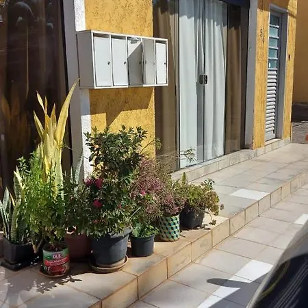 Apartamento No Jardim Botanico-3